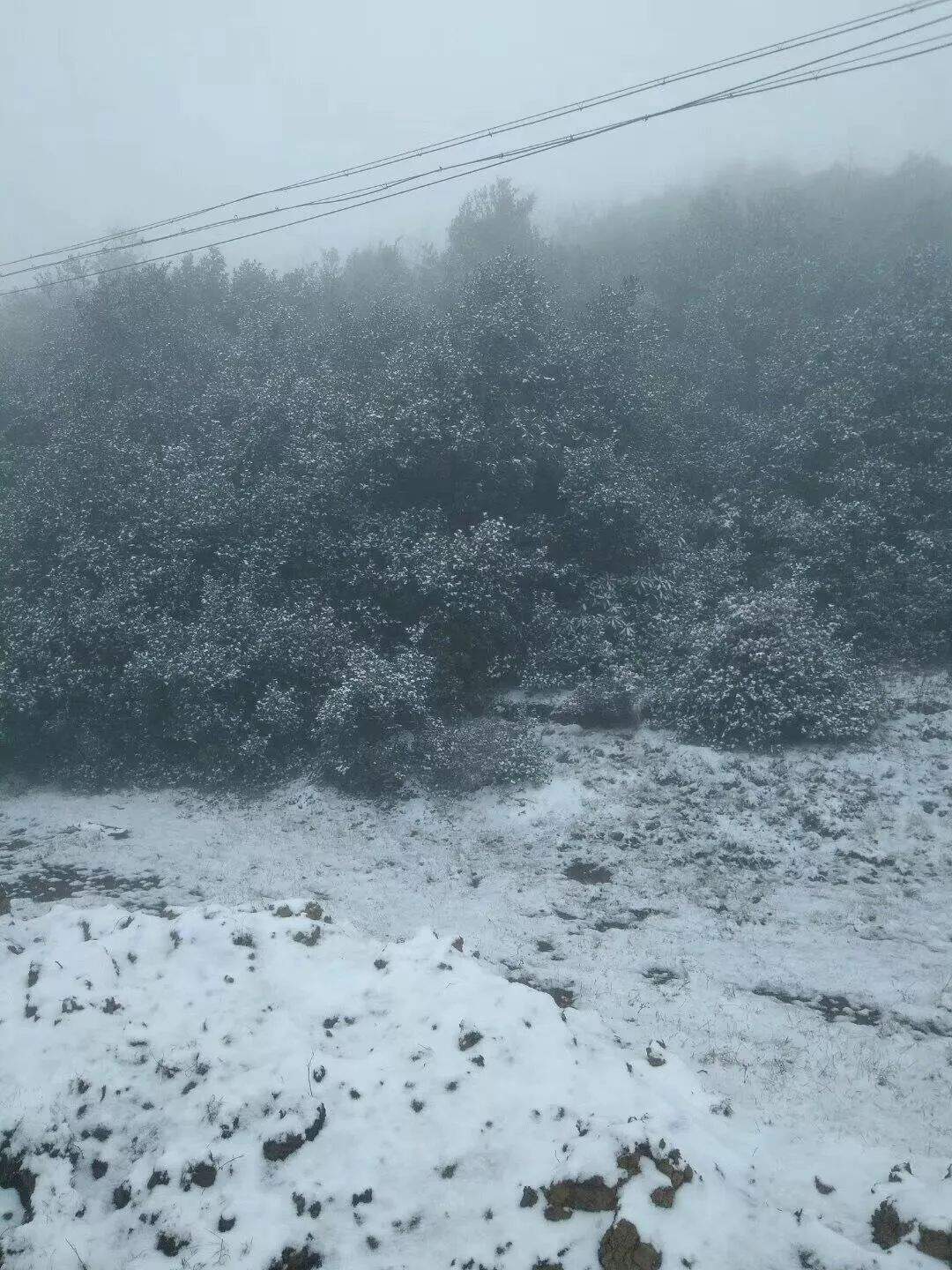 贵州这里居然下雪啦！明天起全省大升温，过两天强降雨