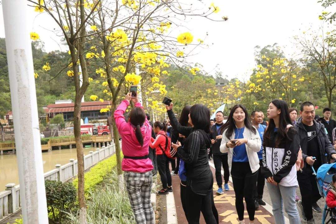 原中国女排教练陈忠和再次来厦，与13000多人走“长征”