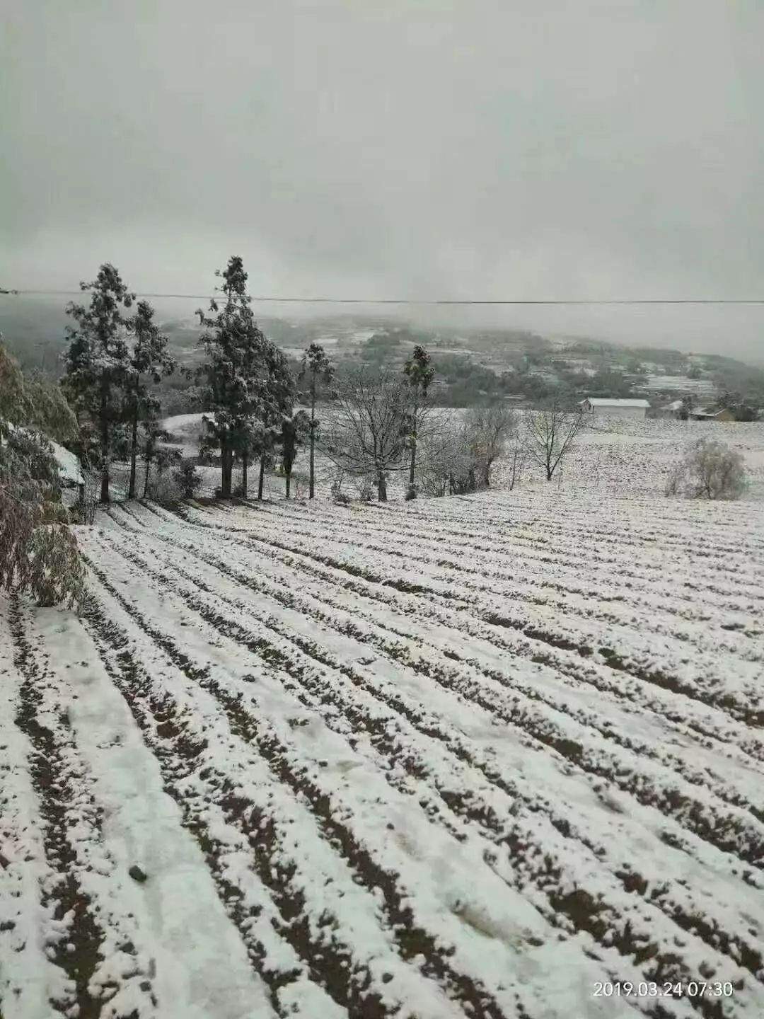 贵州这里居然下雪啦！明天起全省大升温，过两天强降雨