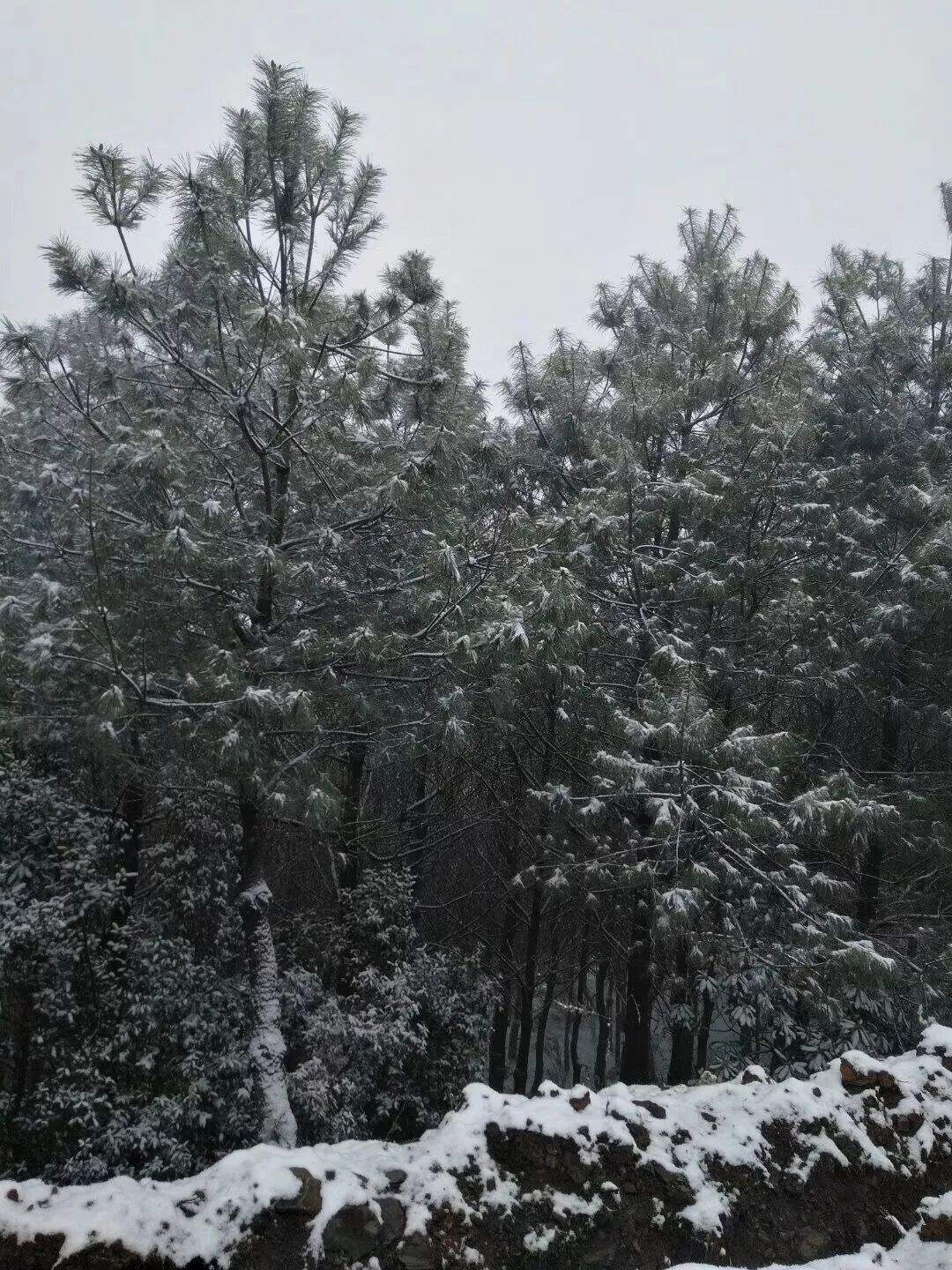 贵州这里居然下雪啦！明天起全省大升温，过两天强降雨