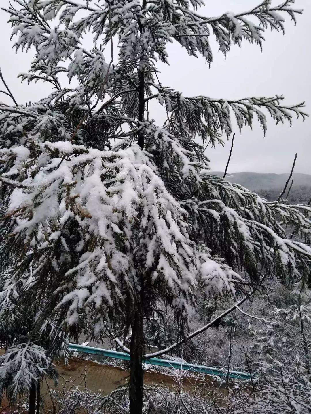 贵州这里居然下雪啦！明天起全省大升温，过两天强降雨