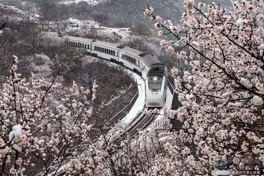 邂逅居庸关，花海和列车“都挺好”