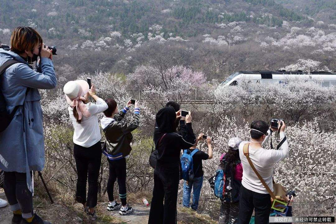 邂逅居庸关，花海和列车“都挺好”