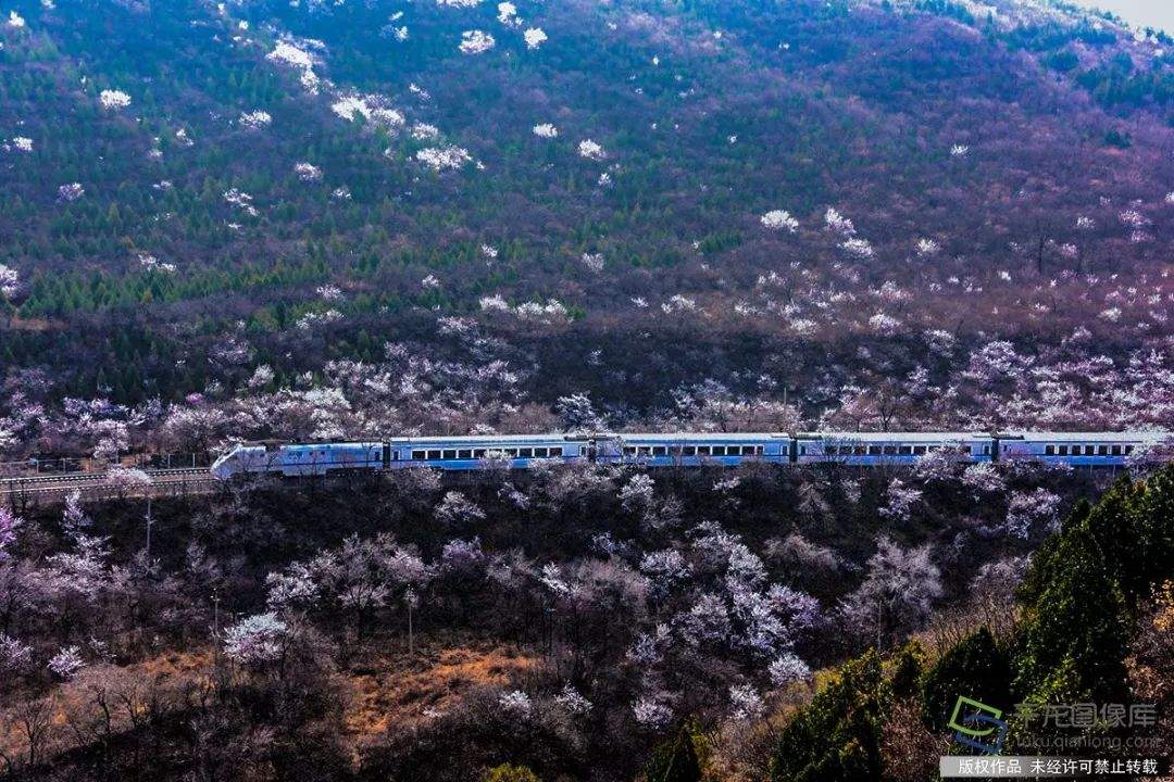 邂逅居庸关，花海和列车“都挺好”