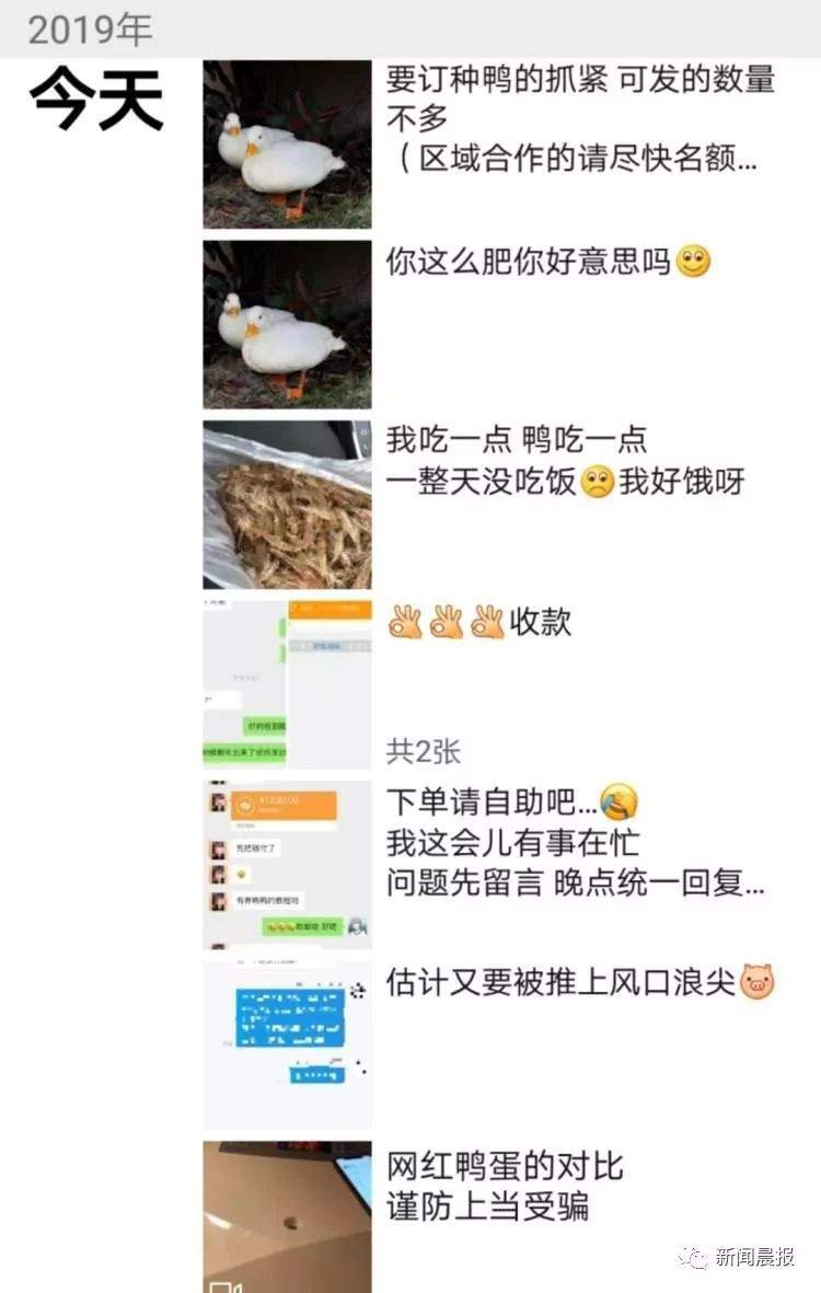 王思聪有了新宠！这回是只鸭子