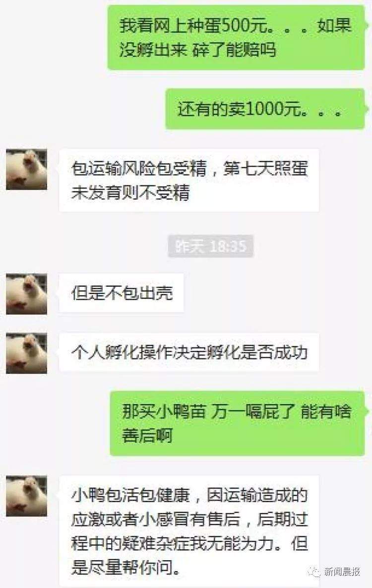 王思聪有了新宠！这回是只鸭子