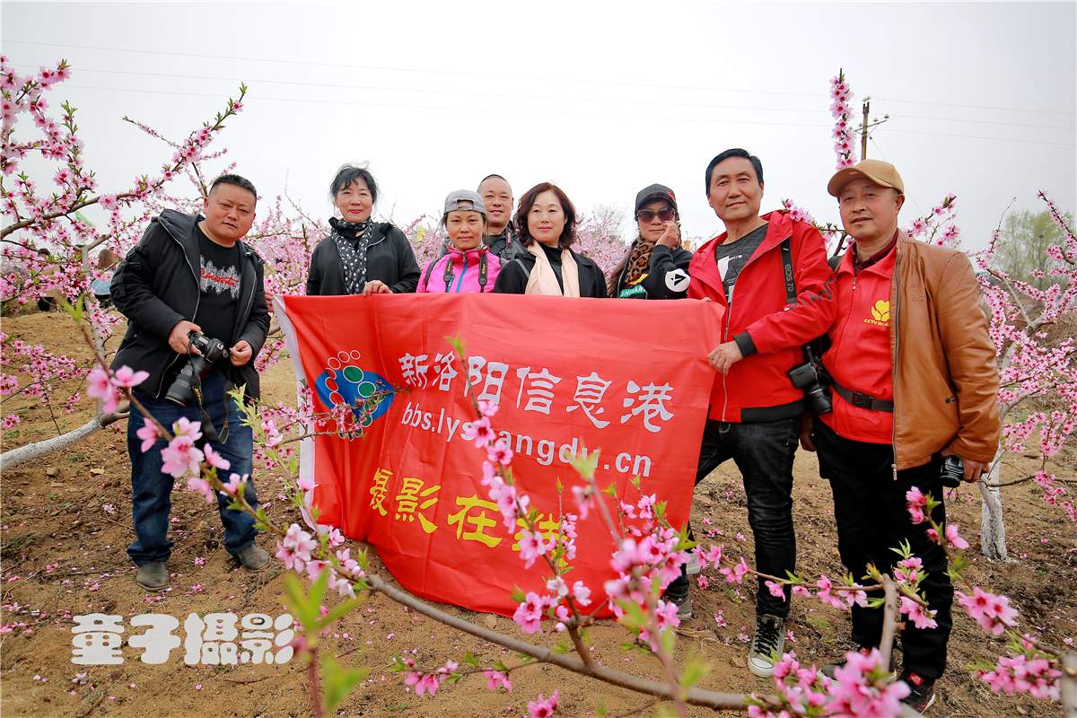 	洛阳第四届“美丽上观”桃园文化节隆重开幕 