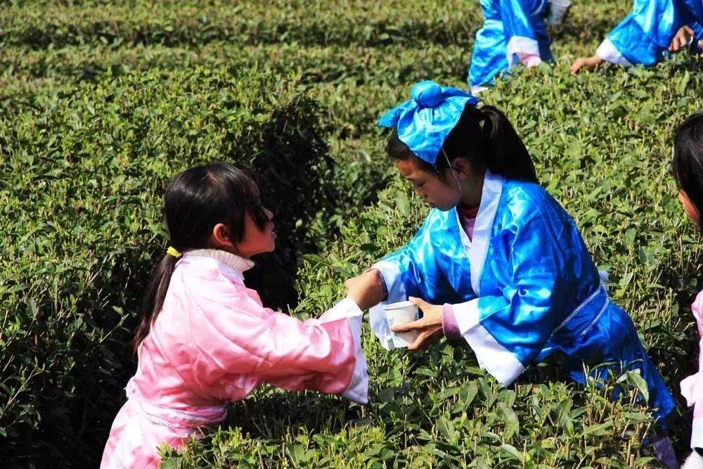 春色满园关不住，2019年青木川采茶节暨夺宝秦兵邀请赛顺利开幕！