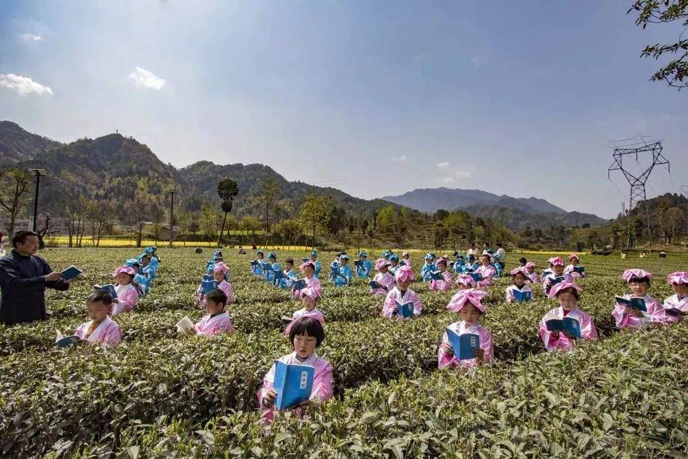 春色满园关不住，2019年青木川采茶节暨夺宝秦兵邀请赛顺利开幕！