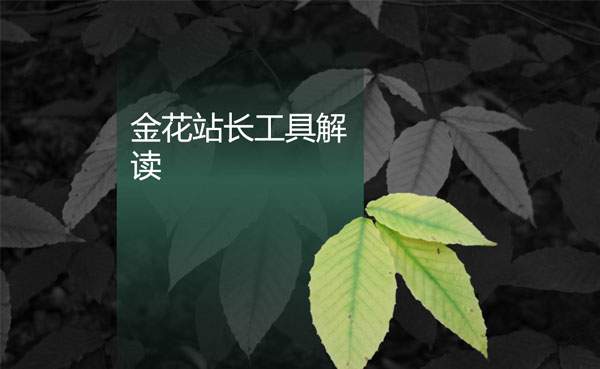 金花站长工具都有哪些功能，金花站长工具好用吗？