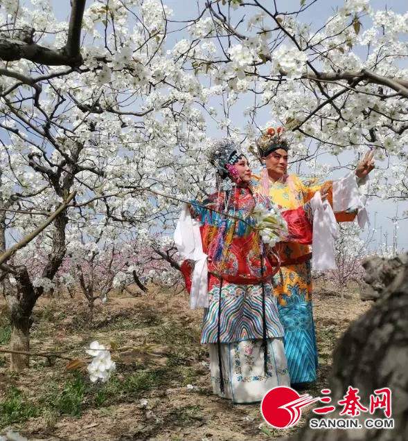 蒲城第三届梨花文化旅游节开幕