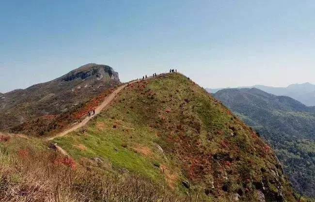 杜鹃花海&飞拉达‖4.13-14徒步温岭上堡山，体验亚洲第一险，绝壁上的舞者—雁荡山飞拉达