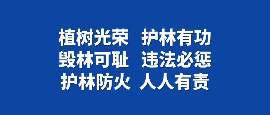 临汾一村民烧火引发山林火灾，已被拘留！