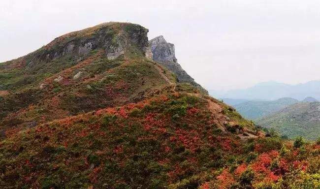 杜鹃花海&飞拉达‖4.13-14徒步温岭上堡山，体验亚洲第一险，绝壁上的舞者—雁荡山飞拉达