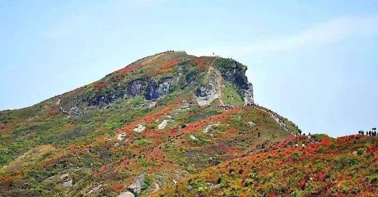 杜鹃花海&飞拉达‖4.13-14徒步温岭上堡山，体验亚洲第一险，绝壁上的舞者—雁荡山飞拉达