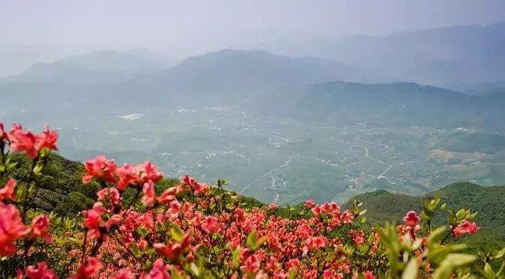 杜鹃花海&飞拉达‖4.13-14徒步温岭上堡山，体验亚洲第一险，绝壁上的舞者—雁荡山飞拉达