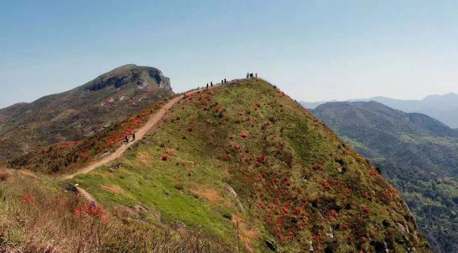 杜鹃花海&飞拉达‖4.13-14徒步温岭上堡山，体验亚洲第一险，绝壁上的舞者—雁荡山飞拉达