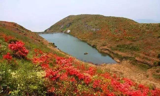 杜鹃花海&飞拉达‖4.13-14徒步温岭上堡山，体验亚洲第一险，绝壁上的舞者—雁荡山飞拉达