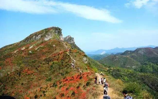 杜鹃花海&飞拉达‖4.13-14徒步温岭上堡山，体验亚洲第一险，绝壁上的舞者—雁荡山飞拉达