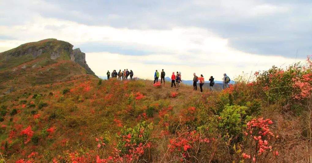 杜鹃花海&飞拉达‖4.13-14徒步温岭上堡山，体验亚洲第一险，绝壁上的舞者—雁荡山飞拉达