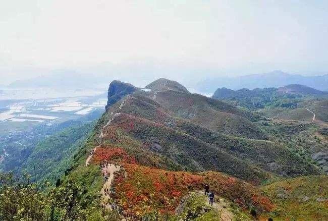 杜鹃花海&飞拉达‖4.13-14徒步温岭上堡山，体验亚洲第一险，绝壁上的舞者—雁荡山飞拉达