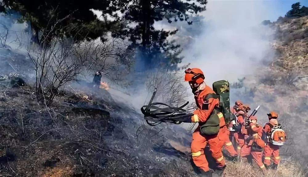 临汾一村民烧火引发山林火灾，已被拘留！