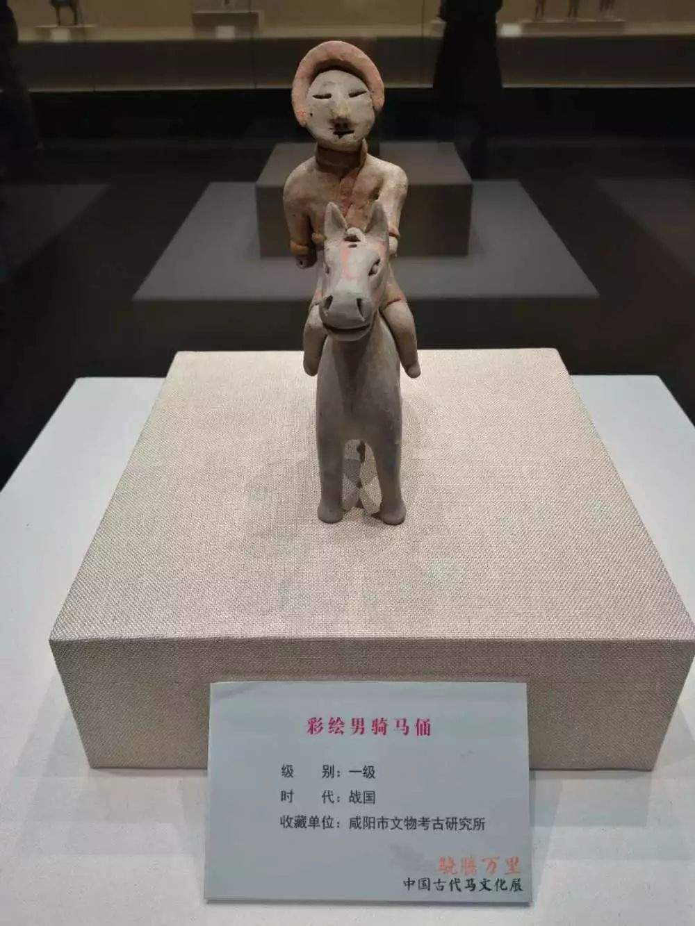 《骁腾万里——中国古代马文化展》在中国闽台缘博物馆举办