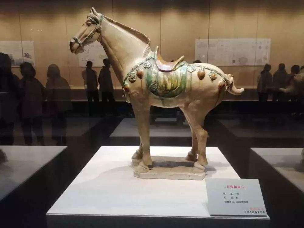 《骁腾万里——中国古代马文化展》在中国闽台缘博物馆举办