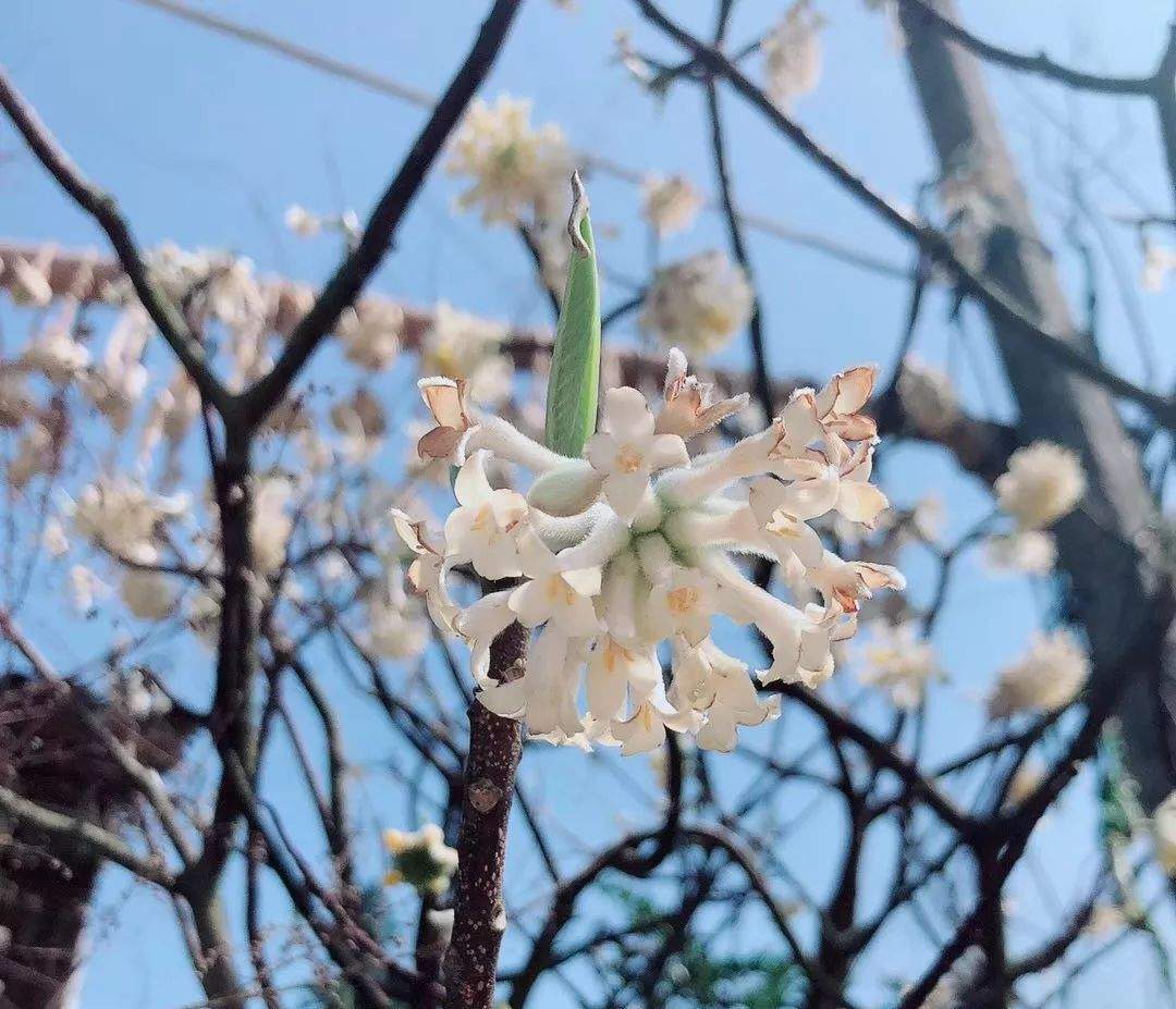 王阳明：靠山山倒，靠河河枯；唯靠自己，事在心上练，方成！