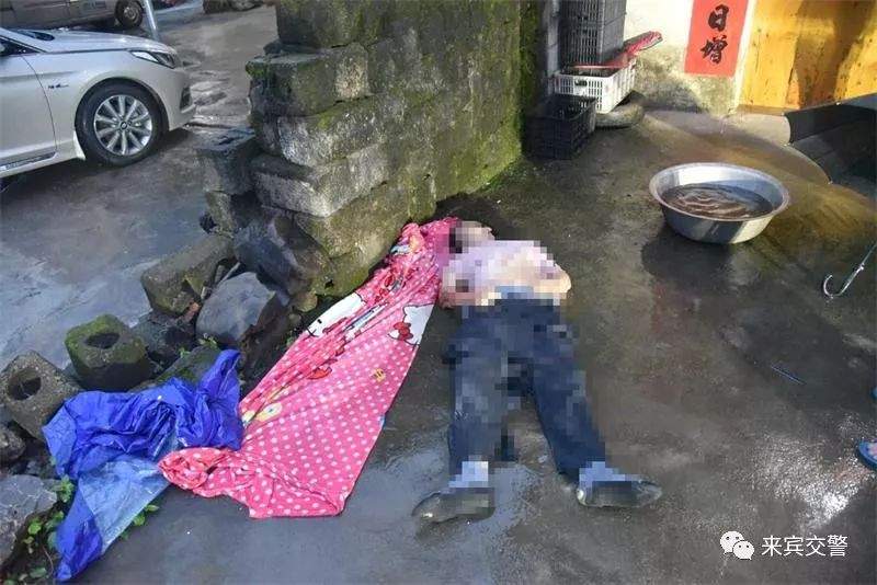 来宾一司机撞人致死后逃逸！交警9小时拿下真凶