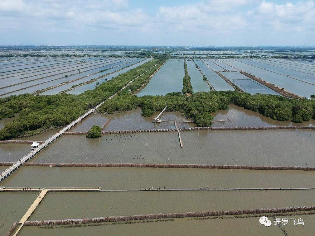 泰国漂浮寺庙孤悬海上 住持坚守遭侵蚀海岸线