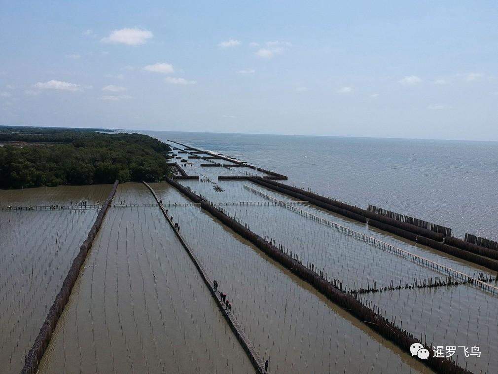 泰国漂浮寺庙孤悬海上 住持坚守遭侵蚀海岸线