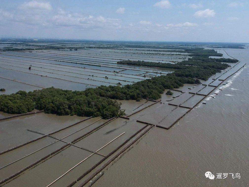 泰国漂浮寺庙孤悬海上 住持坚守遭侵蚀海岸线