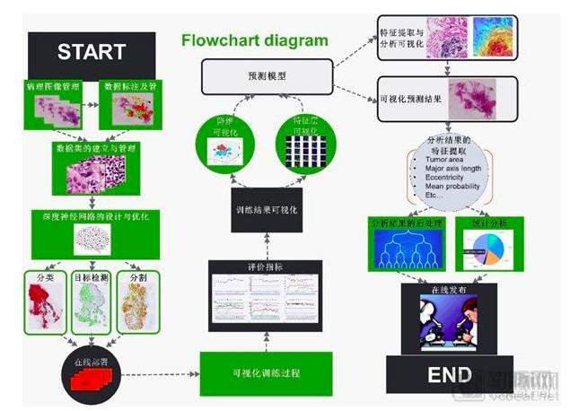 千亿规模的病理市场，能否成为AI初创企业的新出口？