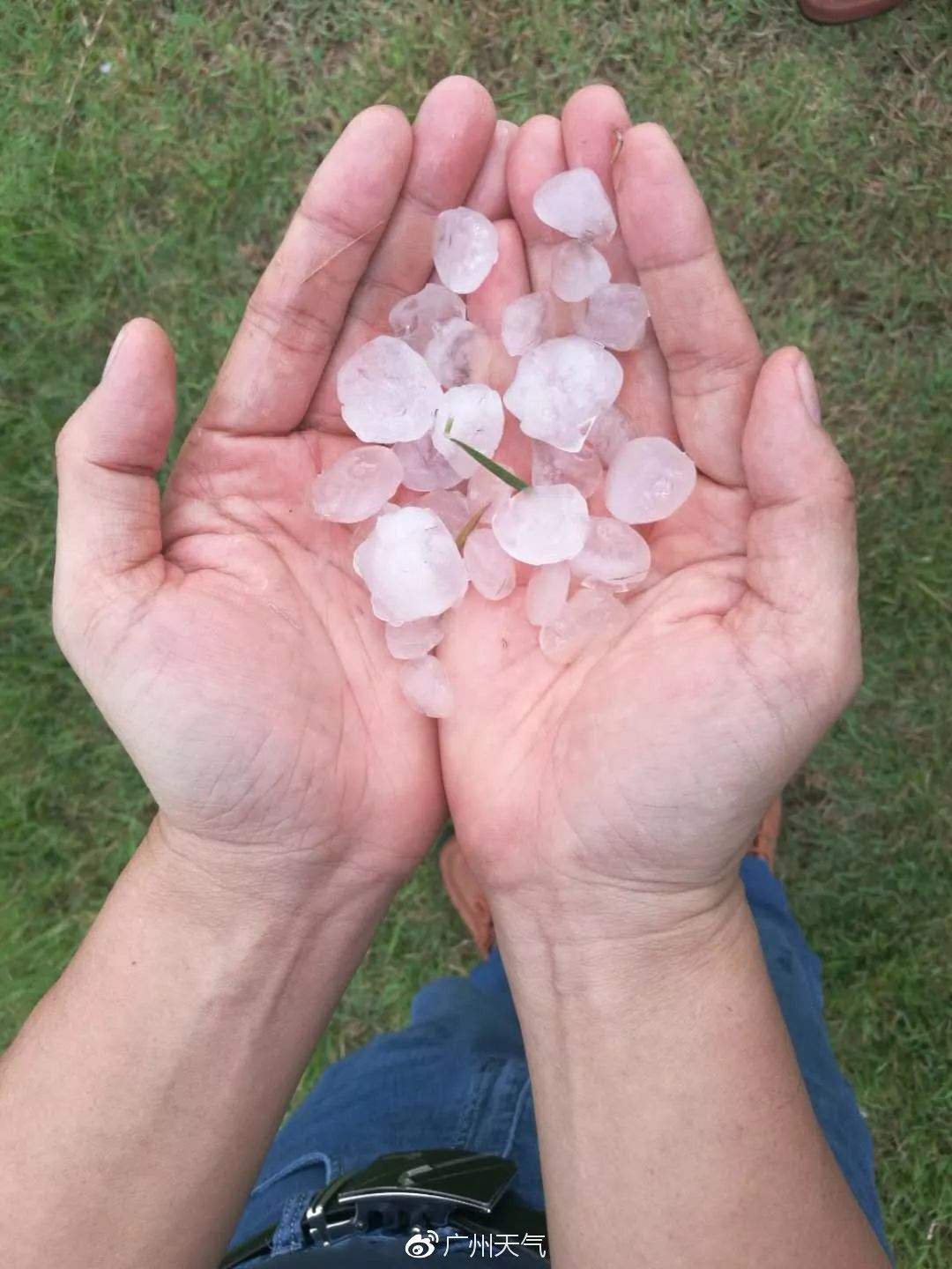 深圳暴雨引发洪水 已致七人死亡四人失联