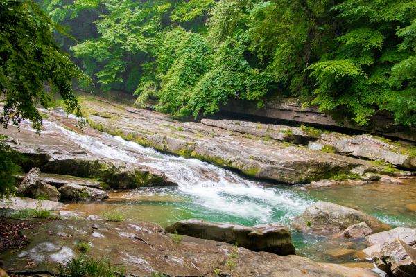 汉中不止有油菜花，还有闻名全国的大熊猫和森林公园