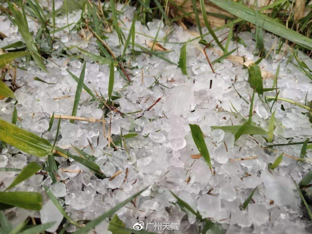 深圳暴雨引发洪水 已致七人死亡四人失联