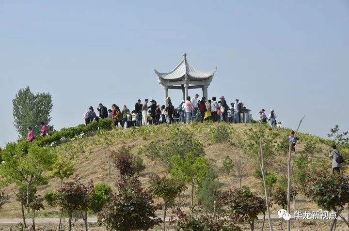 第二届中国濮阳（华龙）牡丹文化节暨第三届油菜花节盛大开幕