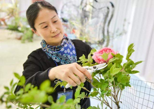 应天门灯光秀、开元湖喷泉秀，洛阳牡丹花会活动大全，错过就没了