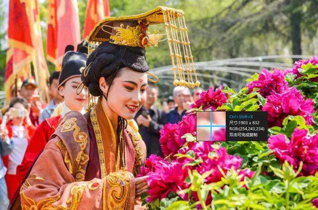 应天门灯光秀、开元湖喷泉秀，洛阳牡丹花会活动大全，错过就没了