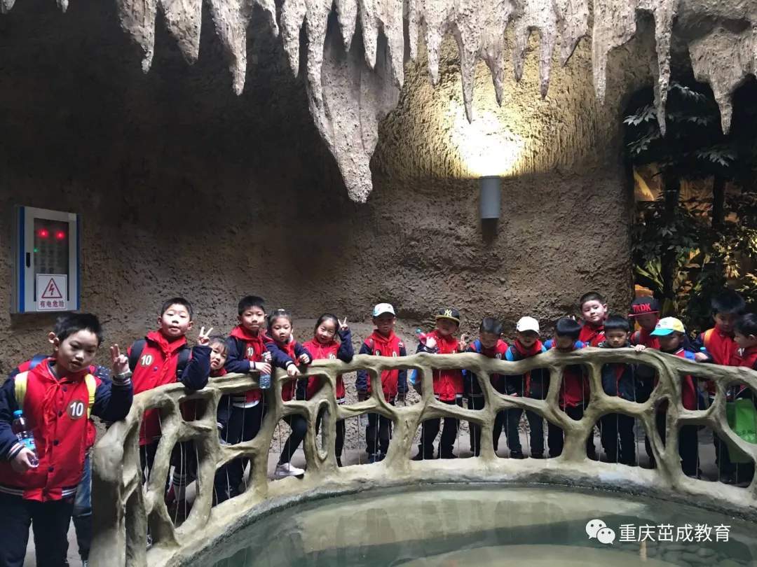 重庆研学旅行丨3月19日“研学大美南山，体验自信人生”天生桥小学研学实践