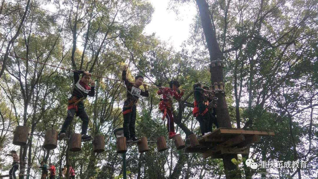 重庆研学旅行丨3月19日“研学大美南山，体验自信人生”天生桥小学研学实践