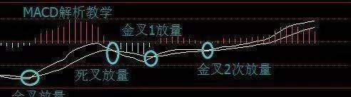 在股市亏了35万，剩余资金5万，该怎么办？亏损的散户要看看