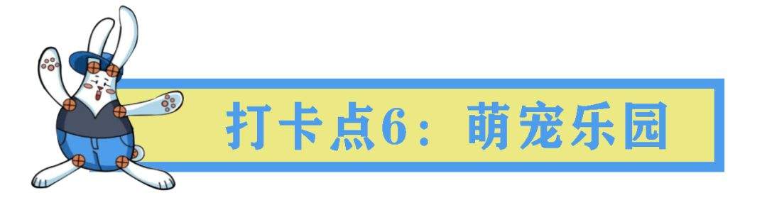 解锁五一旅游目的地，特色南湖缤纷之旅嗨翻小长假