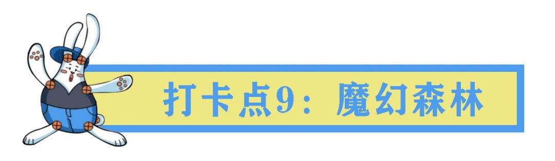 解锁五一旅游目的地，特色南湖缤纷之旅嗨翻小长假