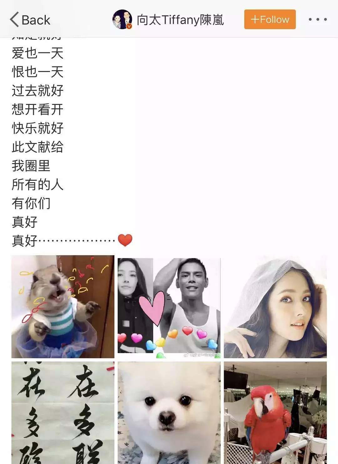 郭碧婷偷亲向佐，出戏的鼻孔都带着甜蜜