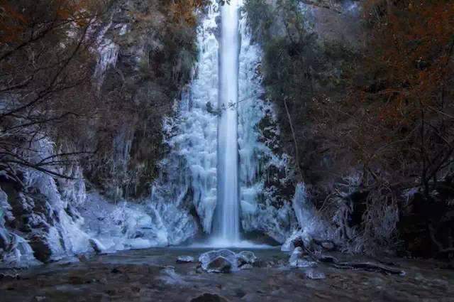 照片看世界；阿尔卑斯山登山者的火炬链、蜂鸟的长嘴等。