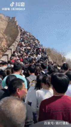 60万人挤爆西湖，40万人挤爆深圳湾公园，游客：我动也不能动