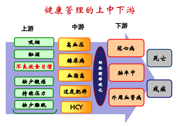 夏萌专家分享：健康管理与营养医学经验之谈，颠覆你的思维！