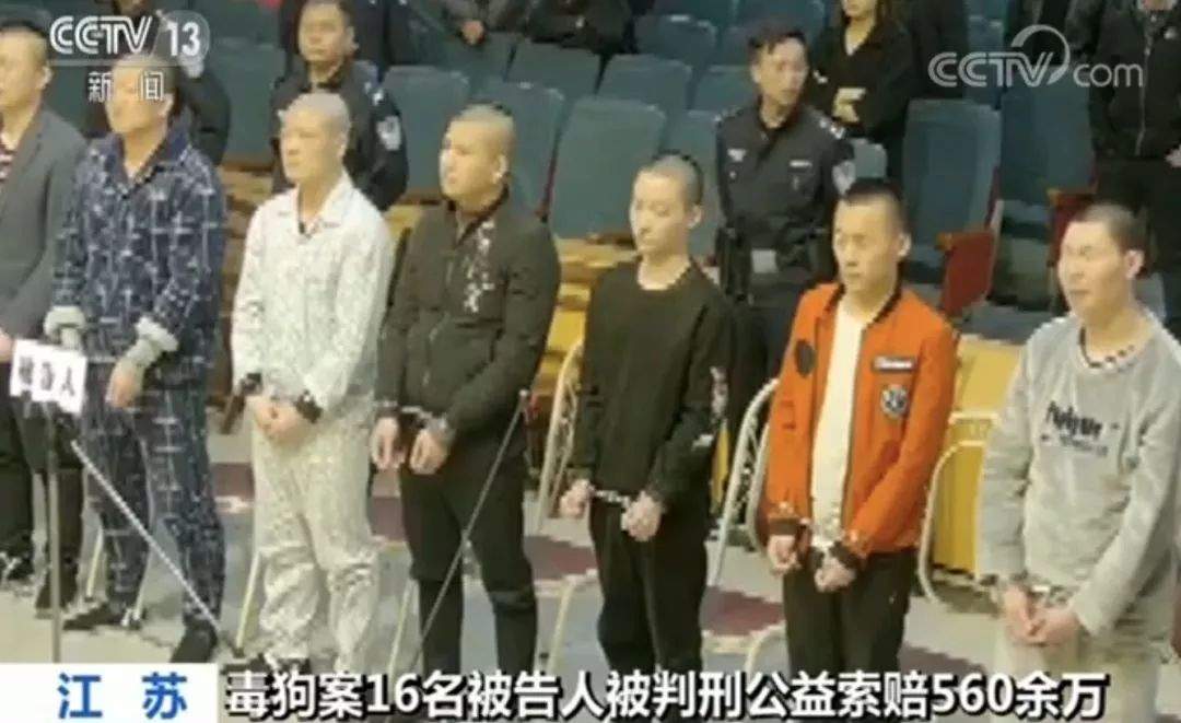 特大毒狗案宣判，16人被判刑！毒狗针几秒钟可致成年人丧命